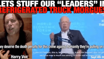 Harry VOX 1200 630 protests Klaus