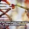 vaxed food