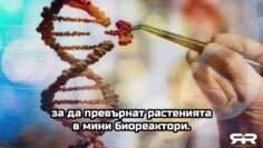 vaxed food