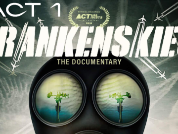 Франкенскайс 1